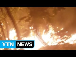 수락산 산불 초진...잦아든 바람 영향 / YTN