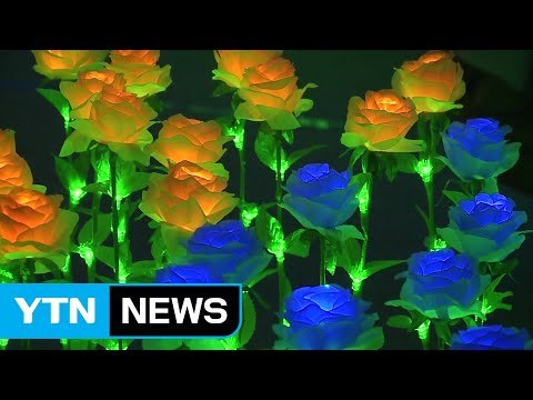 [대구] 전국 유일 실내 꽃박람회 대구서 막 올라 / YTN