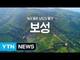 [YTN 구석구석 코리아] 녹차 품은 남도의 품격, 보성 / YTN
