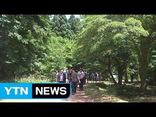 숲길 걸으며 힐링...해수욕장에도 인파 / YTN