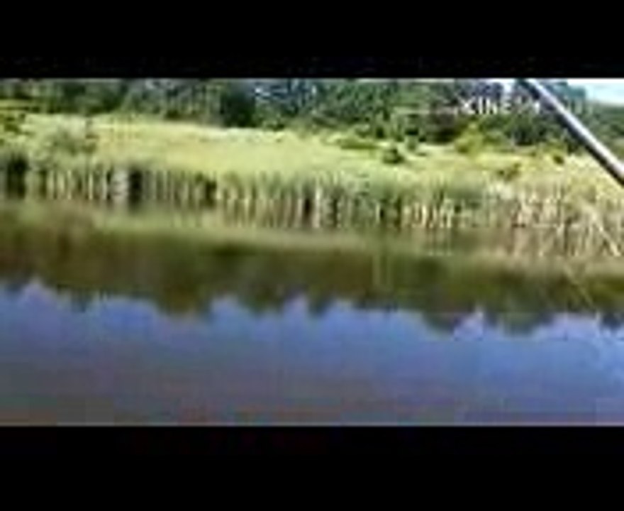 Щука на воблер страйк про Strike Pro SWING MINNOW 53 206А