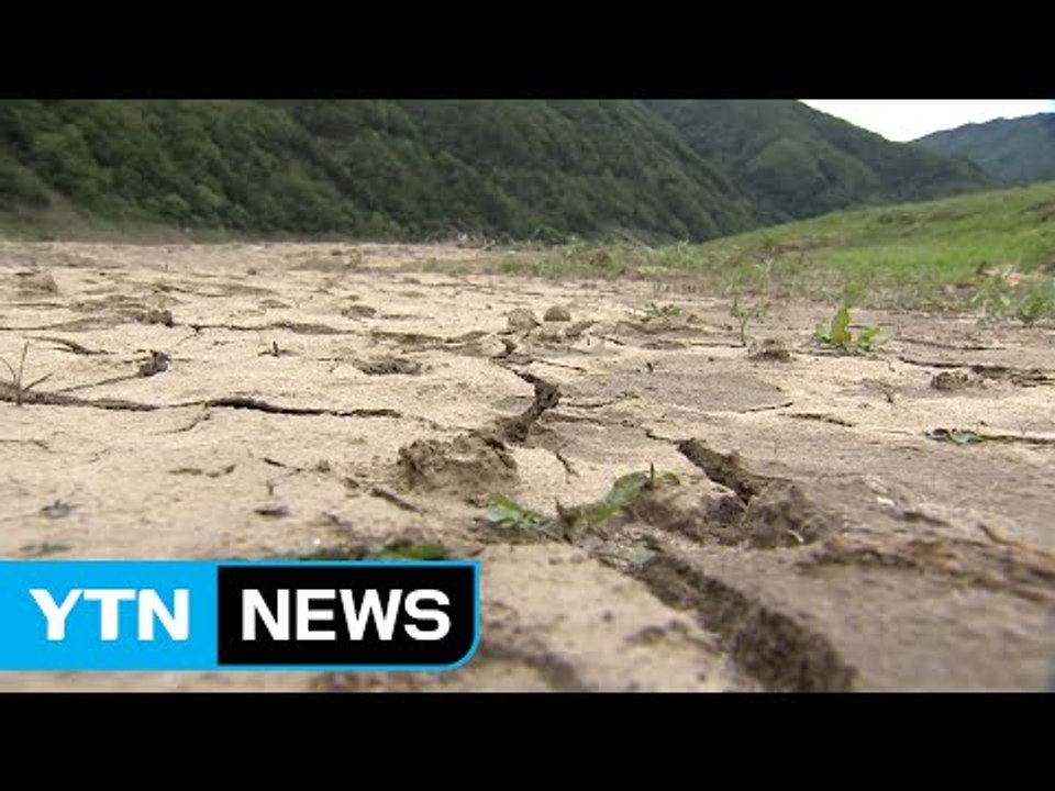 가뭄에 말라버린 강과 저수지...가뭄 피해 극심 / YTN