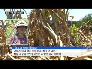 타들어 가는 논·밭에 농심도 '바짝' 말라 / YTN