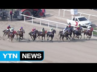제17회 YTN배 경마대회 (2,000m) / YTN