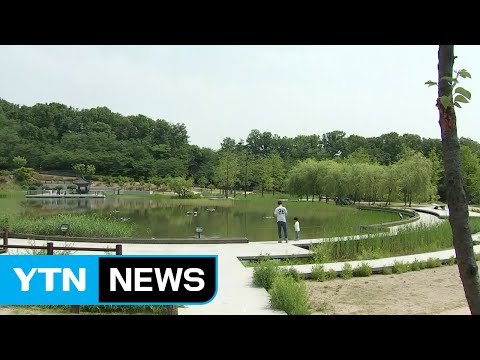 [날씨] 맑고 여름 더위...도심 공원에서 시원한 휴일 / YTN