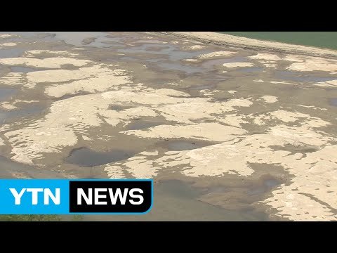가뭄에 말라버린 소양호 상류...강수량 45년 만에 최저 / YTN