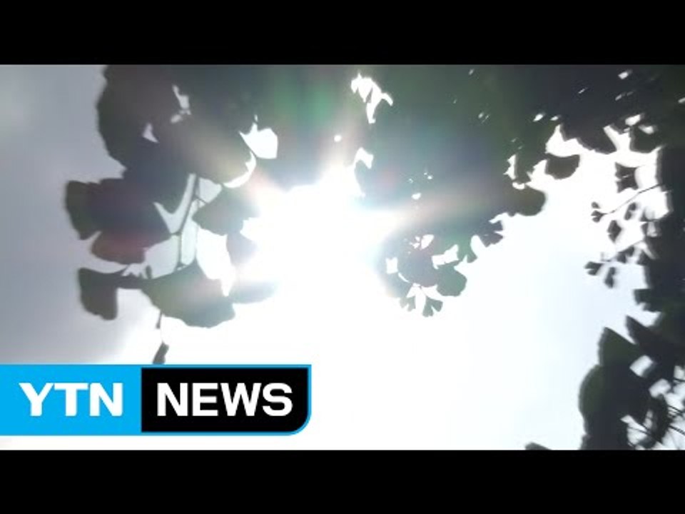[날씨] 오늘 한여름 더위...영남에 폭염주의보 / YTN