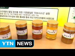 국산 아카시아 꿀, "헬리코박터균 억제 탁월" / YTN