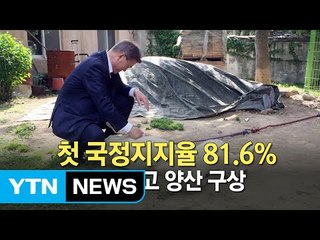 文대통령 "국정수행 잘하고 있다" 81.6% / YTN