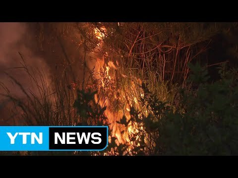 영동, 2차 산불 비상...31℃ 고온에 강풍 / YTN