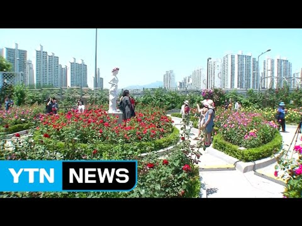 [날씨] 사흘째 여름 더위 기승...자외선·오존 주의 / YTN