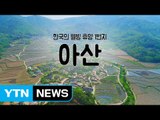 [YTN 구석구석 코리아] 한국의 웰빙 휴양 1번지, 아산 / YTN
