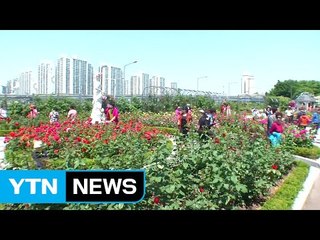 [날씨] 역대 가장 더운 5월...주말도 고온 / YTN