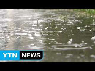 비 내리는 대선일...막판 변수되나? / YTN