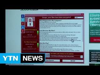 랜섬웨어 피해 미미...변종 수백 종 등장 / YTN