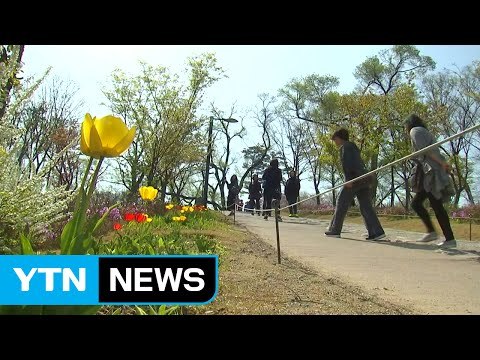 [날씨] 구름 많고 따뜻...공기도 비교적 깨끗 / YTN