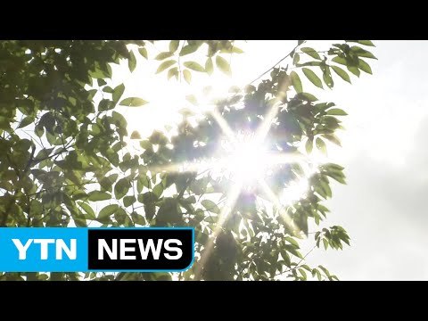 [날씨] 맑고 기온 쑥, 초여름 더위...곳곳 소나기 / YTN