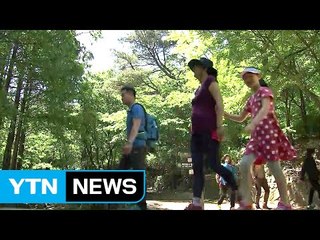 [날씨] 내일까지 바람 불며 선선...산불 조심 / YTN