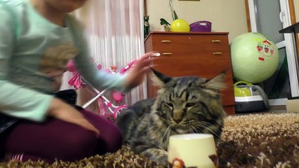 Игра доктор! Зубной врач рвет зубы и сверлит пломбы Ставим Уколы Стоматолог!!! #4-6LMyMw154-A