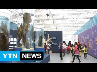 완도 해조류박람회 대성공...93만 명 몰려 / YTN