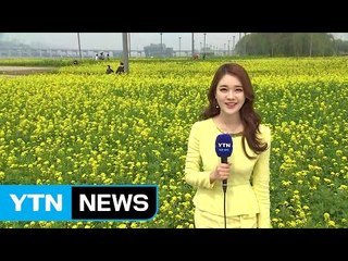 [날씨] 낮 동안 초여름 더위...밤부터 미세먼지↑ / YTN