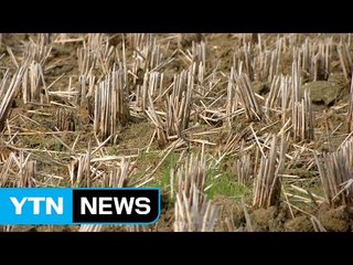 봄 가뭄 심각...모내기 차질 우려 / YTN