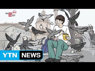 비둘기 가까이 하면 안 됩니다! / YTN
