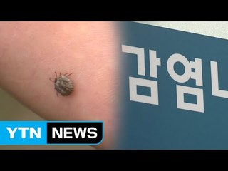 올해 첫 진드기 감염병 사망...야외활동 주의 / YTN