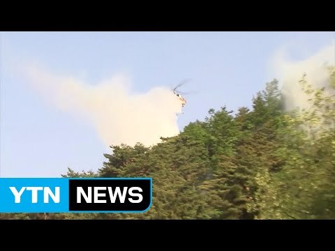 강풍 타고 되살아난 강릉 산불...진화 작업 난관 / YTN