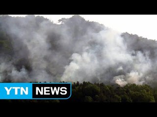 3명 사상 상주 산불 진화 재개...임야 13만㎡ 잿더미 / YTN