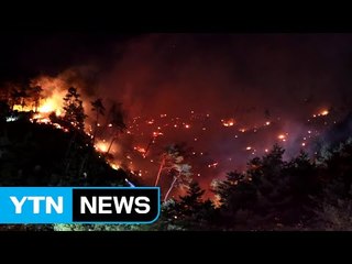 강릉 산불, 강풍에 재발화..."큰 불길 잡혀" / YTN