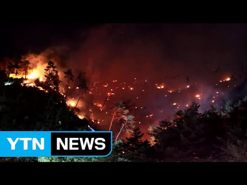 강릉 산불, 강풍에 재발화..."큰 불길 잡혀" / YTN