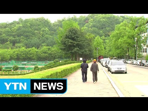 [날씨] 대선일 전국 흐리고 비...황사 오후부터 옅어져 / YTN