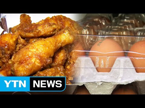치킨 한 마리 가볍게 먹기 힘든 세상...소득만 제자리 / YTN