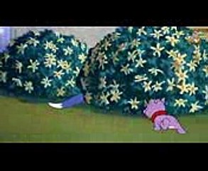 Tom and Jerry episode 76 - That's My Pup! (1953) - Part 3 - Best Cartoons For Kids
