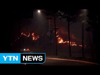 밤새 산불 방화선 구축...동 트면 총력 진화 / YTN