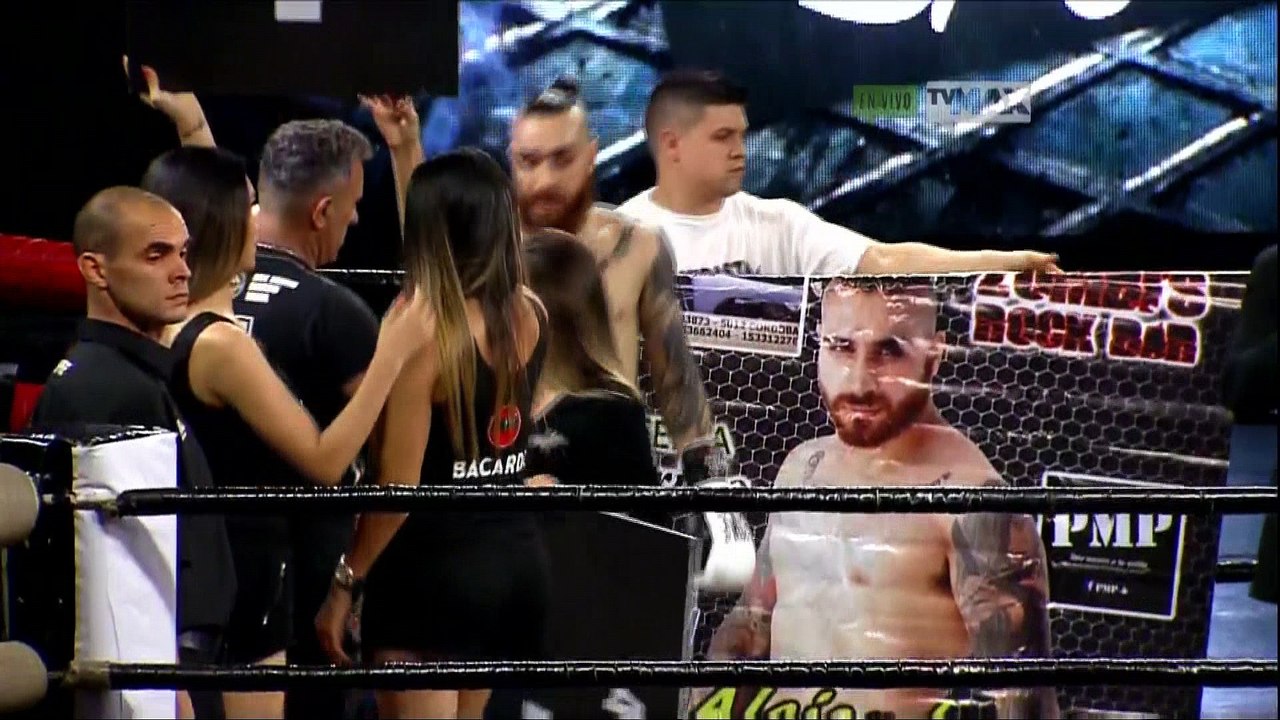 Pelea de Gallo