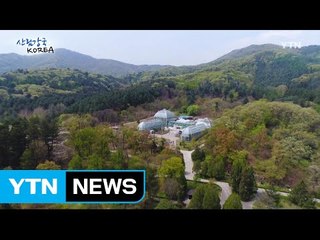 산림강국 코리아 6회 / YTN