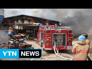 군위 돼지농장서 불...돼지 600여 마리 폐사 / YTN