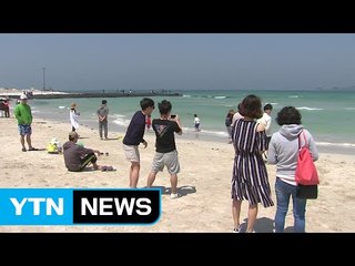 초여름 날씨 속 나들이객 '북적' / YTN