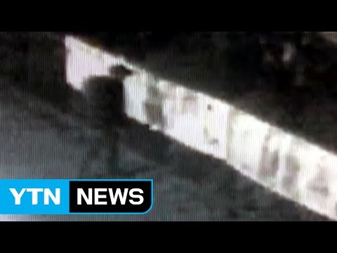 보기 싫다 며 대선 벽보 훼손...첫 구속 / YTN