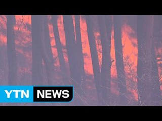 '도깨비불'처럼 되살아나는 봄철 산불 초비상 / YTN