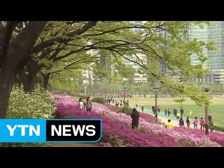 [날씨] 오늘 흐리고 따뜻...경남·영서·전남 비 / YTN