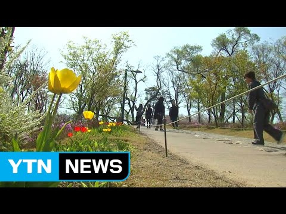 [날씨] 맑고 따뜻한 봄...남해안·제주 오전까지 비 / YTN