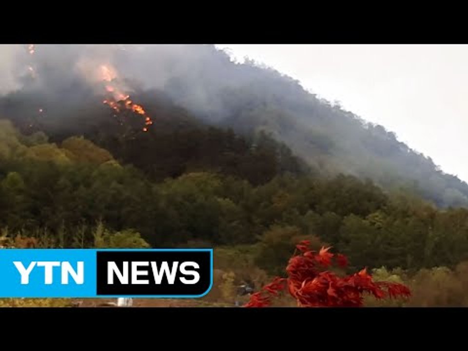 괴산 성불산 산불 밤새 이어져...진화 작업 재개 / YTN