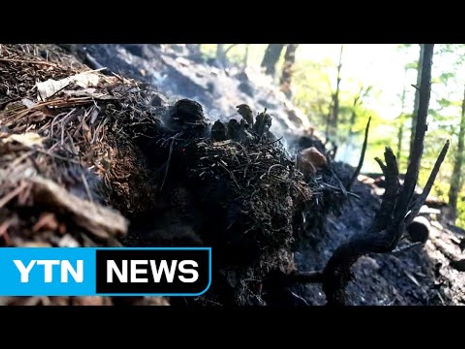 충북 괴산 산불 13시간 만에 진화...강풍에 진화 어려움 / YTN