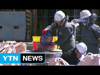 한 달 새 뼛조각 300점 발견...동물 뼈 추정 / YTN