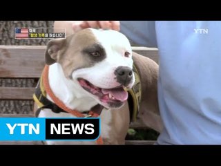 "평생 가족을 찾습니다"…LA 유기견 입양 행사 / YTN