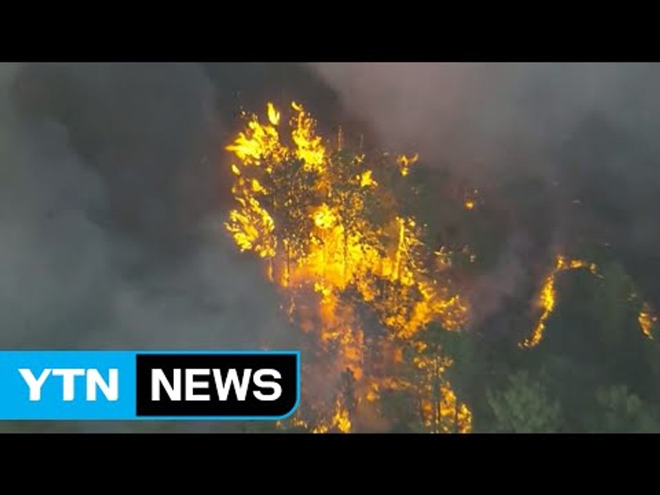 美 플로리다 산불 번져 7천 가구 대피령 / YTN