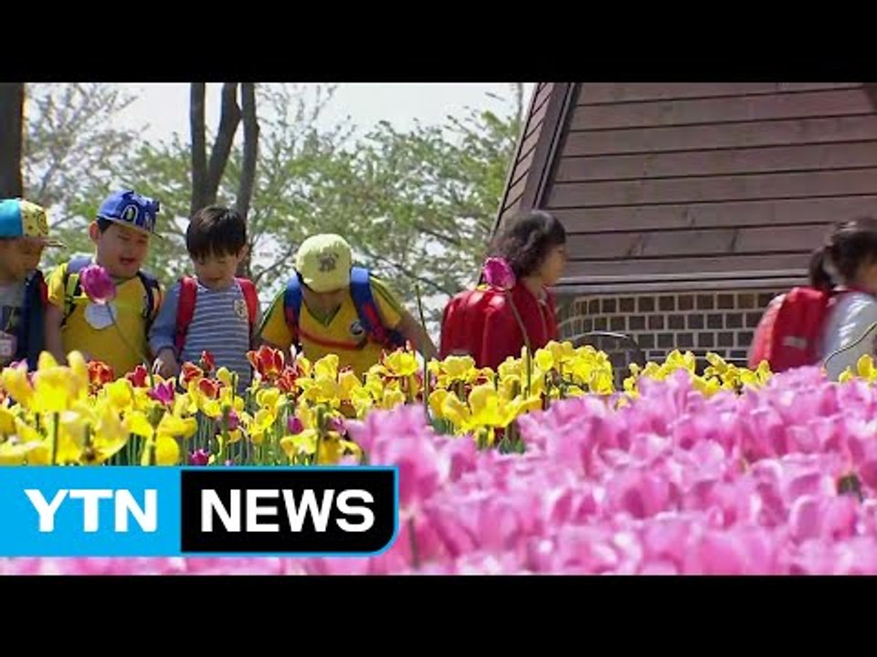 [날씨] 황사 왔지만 맑고 포근...화사한 봄꽃 만발 / YTN